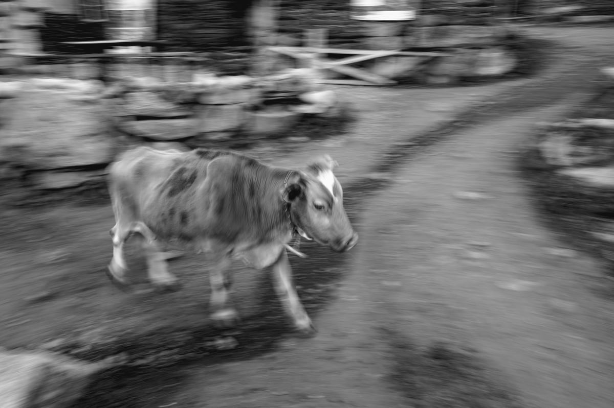 End of the World — Ushguli, Georgia — frame